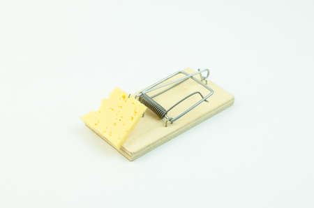 Cheese in mousetrapの写真素材