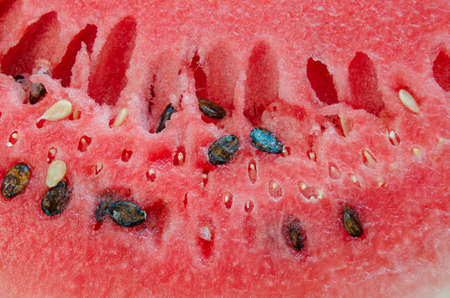 Watermelon close-up