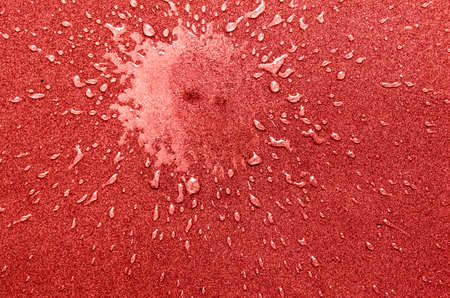 Transparent water dropsの写真素材