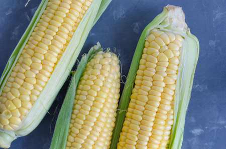 Corn on a dark backgroundの写真素材