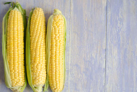 Corn seeds close up in bright daylightの写真素材