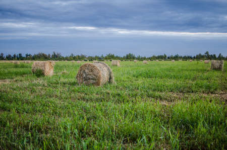 Haystack on the field.