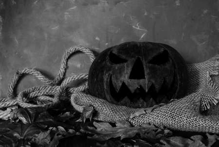 Pumpkin, Halloween symbol.の写真素材