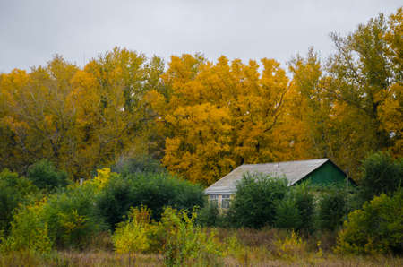 The old house and the onset of autumn.の写真素材