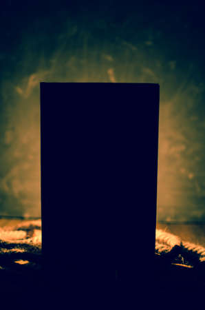 Black silhouette against the light.の写真素材