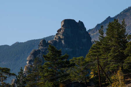 Forest on the highest mountain in the background.の写真素材