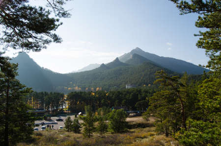 Pine forest on the background of high mountains.の写真素材