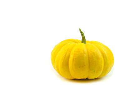 One small pumpkin.の写真素材