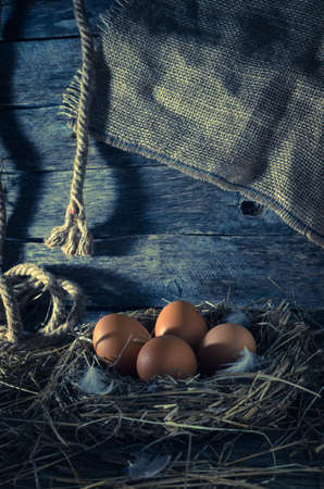 Chicken eggs in the chicken coopの写真素材