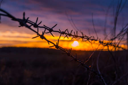 Fence with barbed wire on the background of the bright sunset and storm cloudsの写真素材