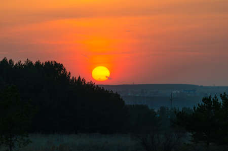 Sunset bright orange sun over the forestの写真素材