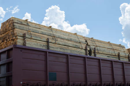 Full rail cars of timber against the skyの写真素材