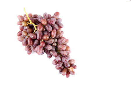 Large grape vine on white background, isolateの写真素材