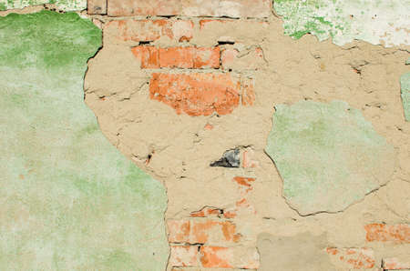 Old brick wall with fallen plaster closeup