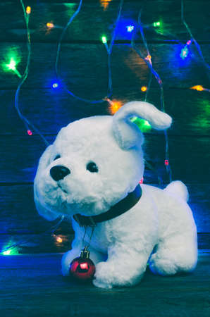 White puppy raised ear with Christmas decorations on the collar on the background included Christmas garlandsの写真素材