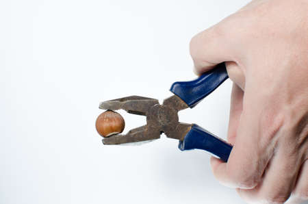 Hazelnuts compressible by the hands of men in the pliers on white background