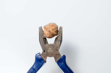 Walnut clamped with pliers on a white backgroundの写真素材