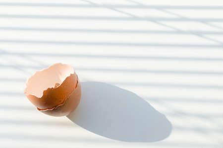 Chicken egg shell on kitchen windowsill, early in morning. Shadows from the blinds.の写真素材