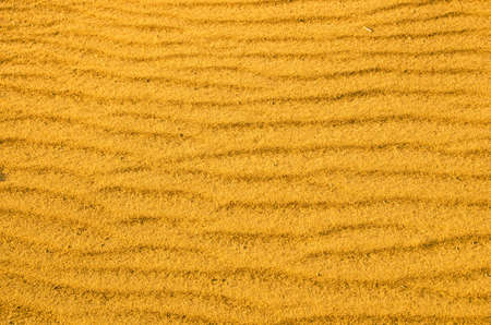 Yellow sand desert dunes.Drought, arid climate.Martian surface.Close up.