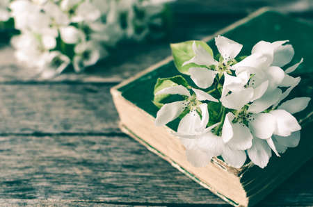 Branch of a flowering  tree on an old book.Rustic wood background.