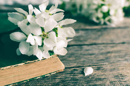 Branch of a flowering Apple tree on an old book.Rustic wood background.