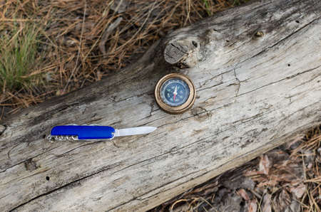 Compass and knife for survival in pine forest on log.