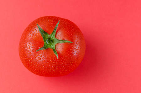 Bright, red and ripe tomato on pink background.
