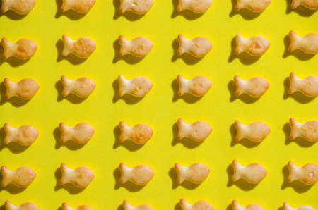 Cookies in form fish, yellow background, in bright sun with hard shadows.close upの写真素材