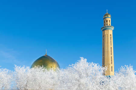 The mosque and Golden domes are closed with white, snow-covered trees on a Sunny frosty winter day.の写真素材