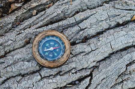 Old compass lies on the bark of a tree, Hiking and traveling orientation on the compass.の写真素材