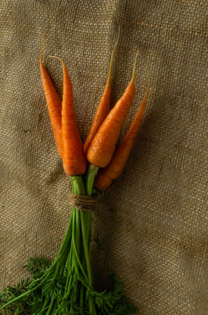 Bunch of fresh carrots dried on burlap. Healthy vegetables.