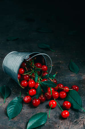 Cherry fell from a small bucket to the old, rustic concrete floor.Bright and ripe berry with green foliage.の写真素材