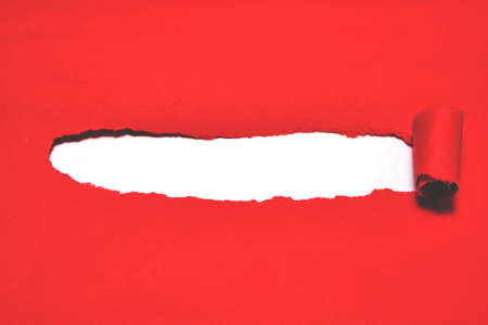 Red torn paper cover with white background.の写真素材