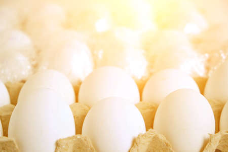 White chicken eggs in a paper tray in bright sunlightの写真素材