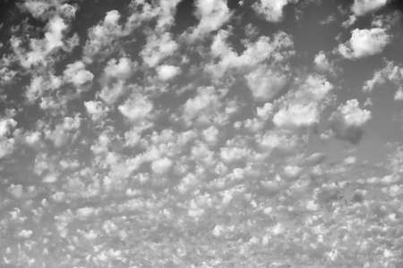 Clouds on a background sky in shades of grayの写真素材