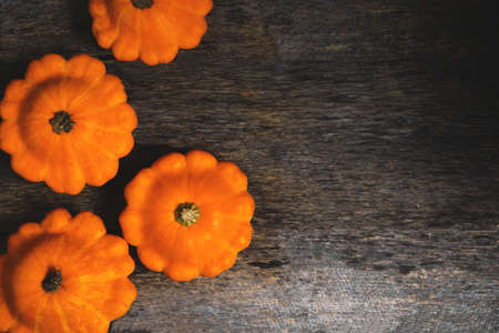 Bright ripe squash on the table.Vegetables are healthy foodの写真素材