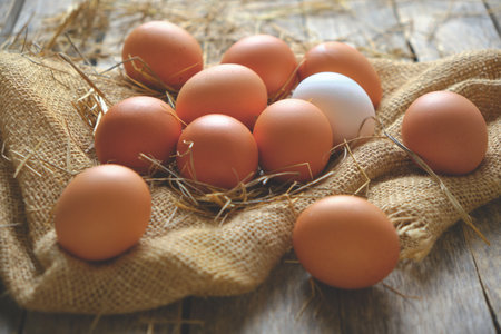 Collected chicken eggs, stacked on burlap in the chicken coop