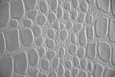 Abstract background of green reptile skinの写真素材