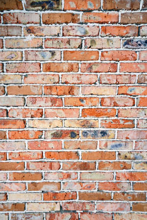 Background is brick wall. Wall is made of old burnt bricks.