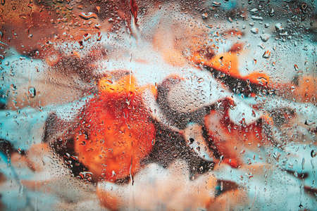 Fallen, yellowed autumn leaves behind the wet glass after the rain.Background fogged glass with foliage.の写真素材