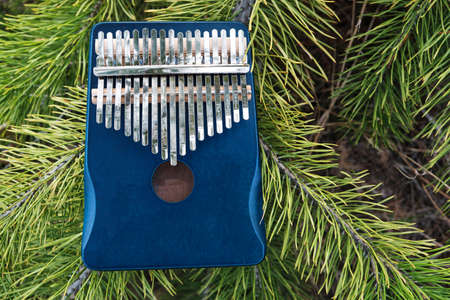 Kalimba musical instrument on the background of green pine needles
