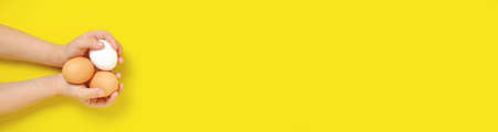 Panorama banner child holds three chicken eggs on yellow background