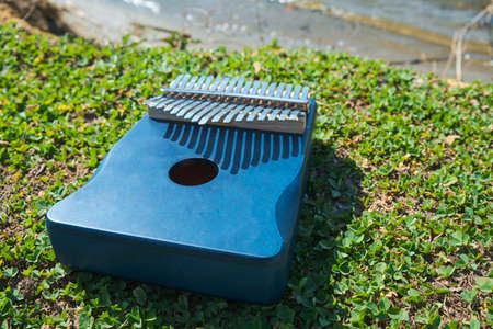African Musical Instrument Kalimba On The Green Grassの写真素材