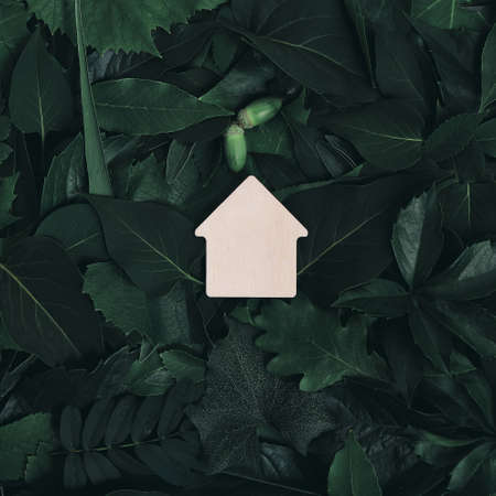 Background for creative ideas is house among thick different green foliage.Live in natureの写真素材