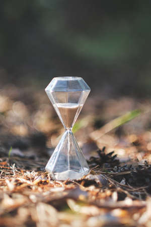 An hourglass in forest. The concept change of seasons is passing of timeの写真素材