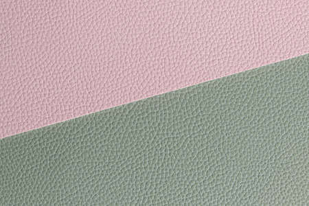 Abstract background with skin texture with two colors pink and greenの写真素材