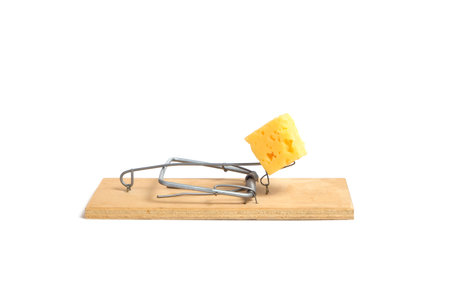 Loaded mousetrap with a piece cheese on a white background