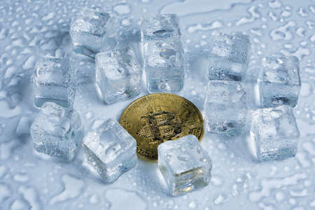 Bitcoin coin middle melting ice cubes and water drops on light backgroundの写真素材