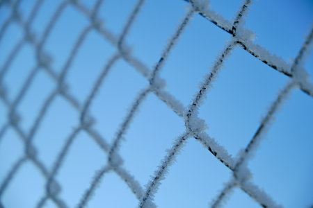 Background, the netting is covered with frost and snow on a frosty winter dayの写真素材