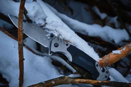 Folding camping knife lies on branches fallen pine tree in winter forestの写真素材